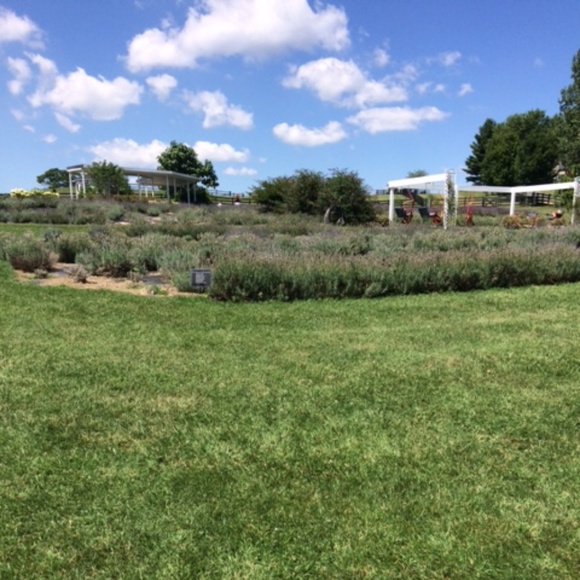 Meet your Posher, Kathaleen - Picture 1 of 2